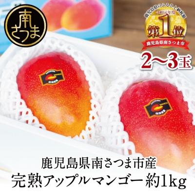 ふるさと納税 南さつま市 [7月中旬出荷開始]鹿児島県産 完熟アップルマンゴー 約1kg(2〜3玉) フルーツ 果物 贈り物