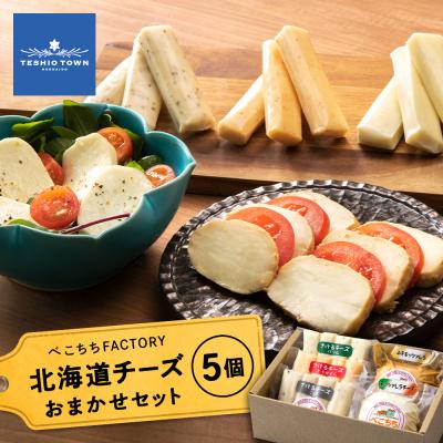 ふるさと納税 天塩町 べこちちFACTORY★チーズお任せセット5種(100g×5個