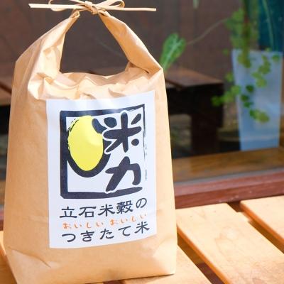 ふるさと納税 小郡市 米 6kg お米マイスターがお届け 配送当日精米