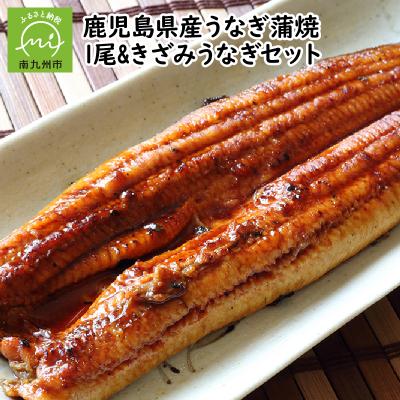 ふるさと納税 南九州市 鹿児島県産うなぎ蒲焼1尾&amp;きざみうなぎセット