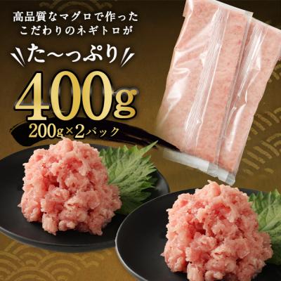 ふるさと納税 室戸市 高豊丸ネギトロ 400g 天然 マグロ 使用 |  | 02