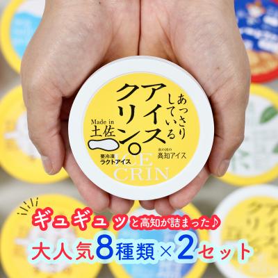 ふるさと納税 いの町 高知アイスのアイスクリーム