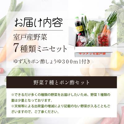 ふるさと納税 室戸市 7種の新鮮野菜とポン酢セット |  | 03