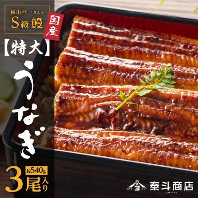 ふるさと納税 大崎町 横山桂一さんのS級鰻 特大サイズ3尾(計540g以上)