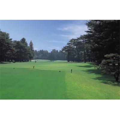 ふるさと納税 飯能市 飯能ゴルフクラブ 平日1日ラウンド利用券 1名様分(昼食付)