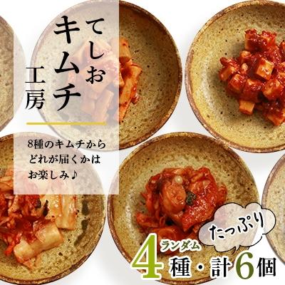 ふるさと納税 天塩町 てしおキムチ工房・キムチおまかせ6種セット★ [天塩の國]