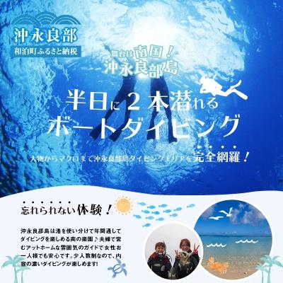 ふるさと納税 和泊町 沖永良部島のファンダイビング 2ボートダイブ