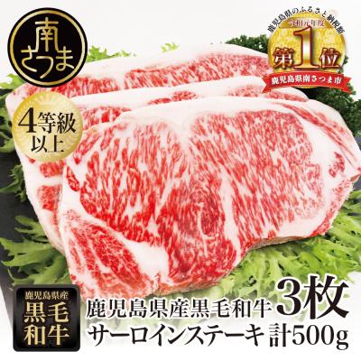 ふるさと納税 南さつま市 [鹿児島県産]黒毛和牛 サーロインステーキ 約500g(約170g×3枚) 4等級以上