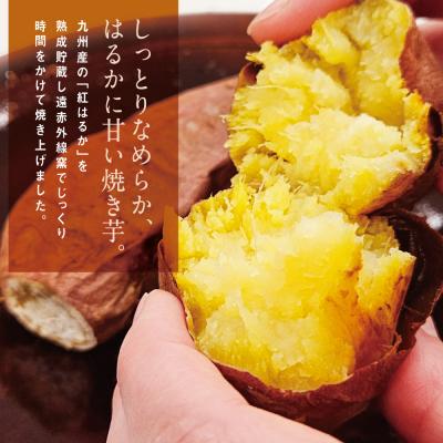 ふるさと納税 南さつま市 紅はるか 冷凍焼き芋 計3kg(500g×6袋) |  | 01