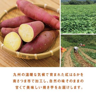 ふるさと納税 南さつま市 紅はるか 冷凍焼き芋 計3kg(500g×6袋) |  | 02