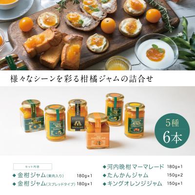 ふるさと納税 南さつま市 【産品コンクール金賞受賞】金柑・オレンジジャム詰め合わせ 6本(5種) 清木場果樹園 |  | 03