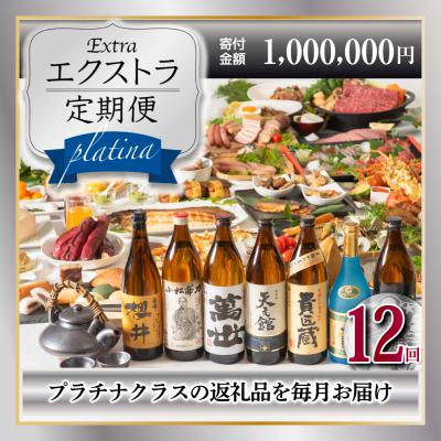 ふるさと納税 南さつま市 [定期便]エクストラ定期便プラチナ