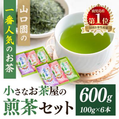 ふるさと納税 曽於市 <お茶生産量日本一の鹿児島県産!>小さいお茶屋の煎茶600g! | 