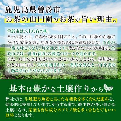 ふるさと納税 曽於市 <お茶生産量日本一の鹿児島県産!>小さいお茶屋の煎茶600g! |  | 03
