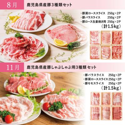 ふるさと納税 南さつま市 【モリモリ定期便】鹿児島県産豚よりどり定期便(全4回) しゃぶしゃぶ 生姜焼き とんかつ 肩ロース |  | 03