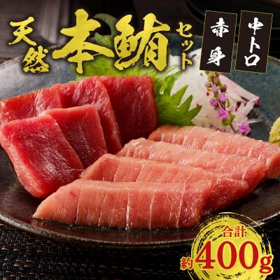 ふるさと納税 焼津市 『まぐろの魚二』天然本鮪中トロ・赤身約400g
