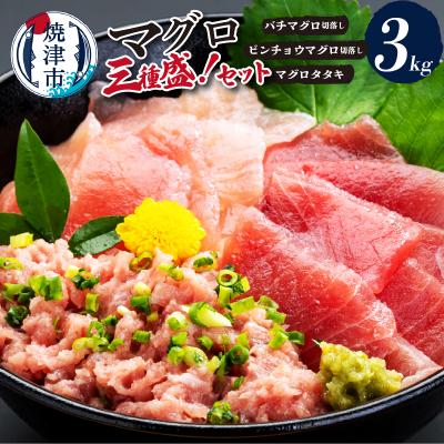 ふるさと納税 焼津市 マグロ三種盛!バチ・ビンチョウ・タタキセットB