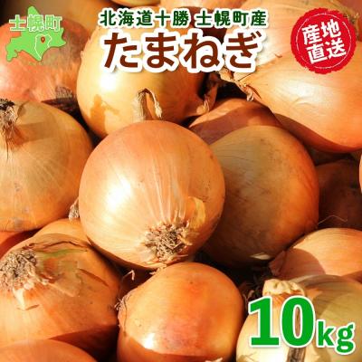ふるさと納税 士幌町 北海道 士幌産 たまねぎ 10kg 採れたて玉ねぎ 旬の野菜 十勝 士幌町[V07]