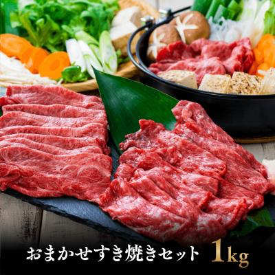 ふるさと納税 豊後高田市 [スピード発送] 大人気! おおいた和牛 おまかせすき焼きセット500g×2 黒毛和牛 すき焼き