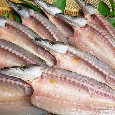 ふるさと納税 室戸市 今だけ!室戸旬どれ美人カマス干物5枚以上