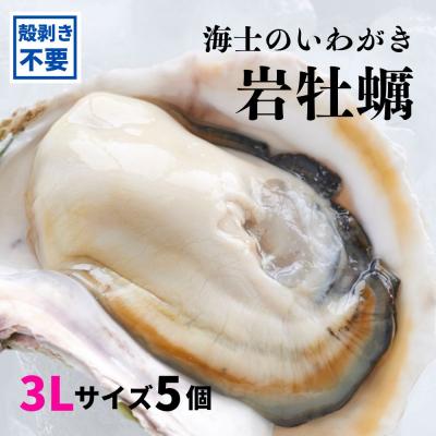 ふるさと納税 海士町 海士のいわがき 殻なし 計1.6kg〜2kg 3Lサイズ5個 生食可能 CAS冷凍 牡蠣 岩牡蠣