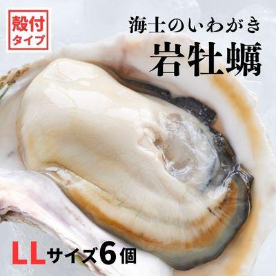 ふるさと納税 海士町 牡蠣 計2.4kg〜3kg 巨大LLサイズ6個 海士町産