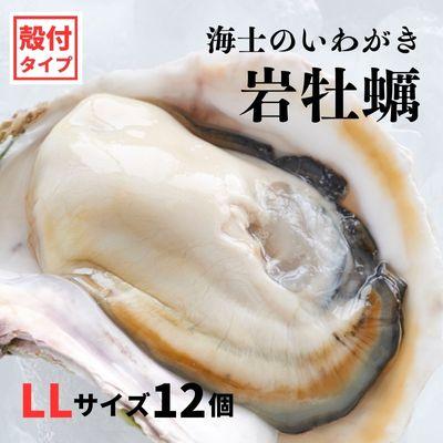 ふるさと納税 海士町 牡蠣 計4.8kg〜6kg LLサイズ 12個 海士町産