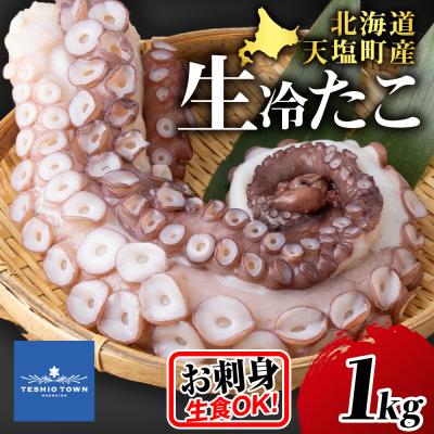 ふるさと納税 天塩町 北海道 天塩町産たこ足1kg