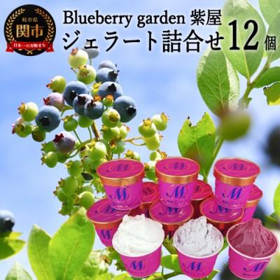 ふるさと納税 関市 とれったひろばバラエティーセット 紫屋のブルーベリージェラートセット