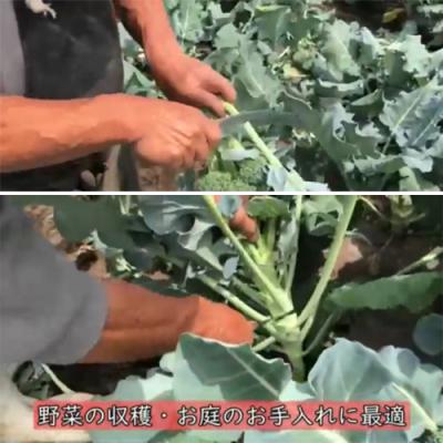 ふるさと納税 関市 達人の収穫シリーズ【万能収穫鎌】 野菜の収穫,草刈りなどに!農業用刃物 |  | 03