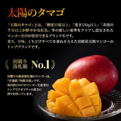ふるさと納税 西都市 西都産完熟マンゴー「太陽のタマゴ」糖度15度以上(JA西都)【先行受付】[1010] |  | 03