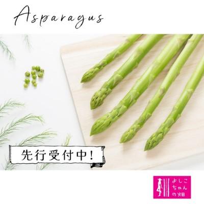 ふるさと納税 神埼市 [先行受付 令和8年7月より発送]夏芽のアスパラ 1.2kg (H013105)
