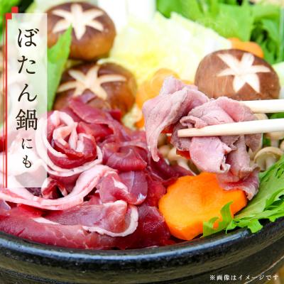 ふるさと納税 神埼市 脊振ジビエ イノシシ肉スライスセット ロース&バラ 約600g(H059119) |  | 01