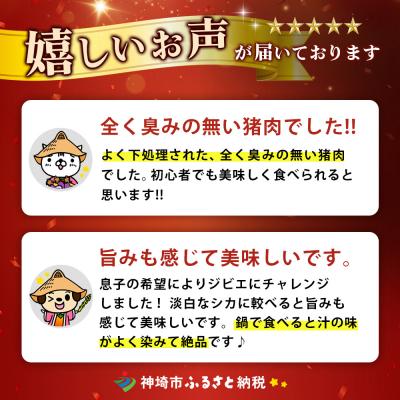 ふるさと納税 神埼市 脊振ジビエ 鍋物・カレー用イノシシ肉 約1kg(H059120) |  | 03