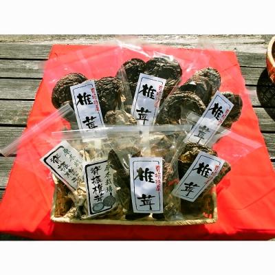 ふるさと納税 神埼市 せふり特選椎茸セット[極み] (H044102)