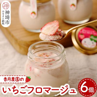 ふるさと納税 神埼市 いちごフロマージュ6個セット (H017105)