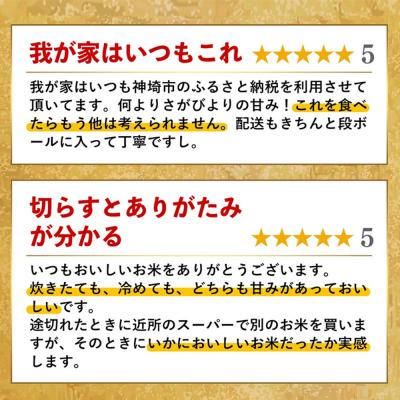 ふるさと納税 神埼市 【令和7年産】さがびより 精米 10kg(H015224) |  | 03