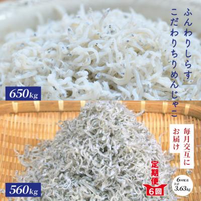 ふるさと納税 四万十市 [6回定期便]土佐黒潮ふんわりしらす650g・こだわりちりめんじゃこ560g 25
