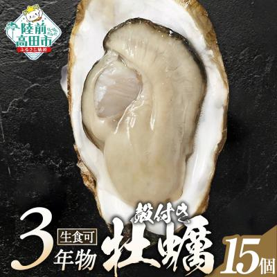 ふるさと納税 陸前高田市 マルテン水産の殻付き牡蠣 15個 生食用 かき カキ 生牡蠣 三陸産 旬 料理