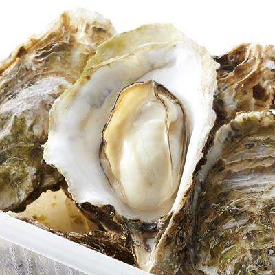 ふるさと納税 陸前高田市 レンジで簡単蒸し牡蠣15個セット [殻付き牡蠣 Sサイズ10個 Mサイズ5個]