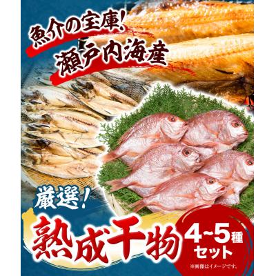 ふるさと納税 笠岡市 熟成干物セットA