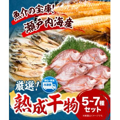 ふるさと納税 笠岡市 熟成干物セットB