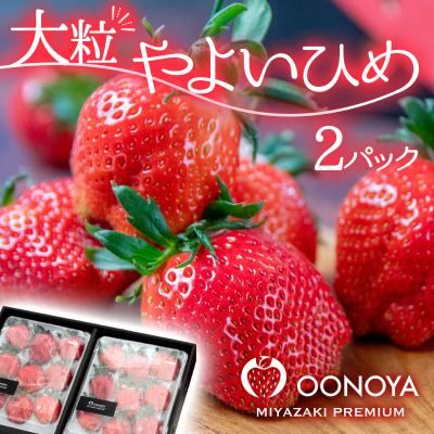 ふるさと納税 西都市 [先行受付]厳選大粒高級いちご「やよいひめ」2パック(約900g)苺大野屋[2897]