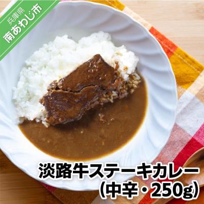 ふるさと納税 南あわじ市 淡路牛ステーキカレー(中辛・250g)×1食セット