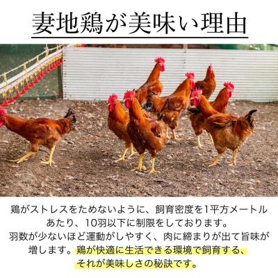 ふるさと納税 西都市 地鶏たたき もも&むねセット【妻地鶏タタキ】カット済み小分けパック宮崎[1490] |  | 02