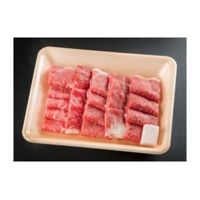 ふるさと納税 七宗町 ※飛騨牛&amp;国産豚肉焼き肉食べ比べ HNP-08