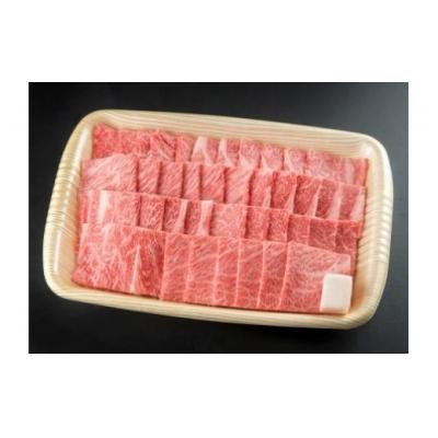 ふるさと納税 七宗町 ※飛騨牛焼肉用飛騨牛肩ロース肉700g HNP-07