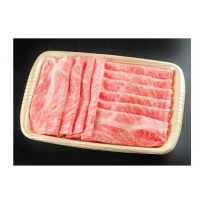 ふるさと納税 七宗町 ※飛騨牛しゃぶしゃぶ用飛騨牛肩ロース肉700g HNP-06