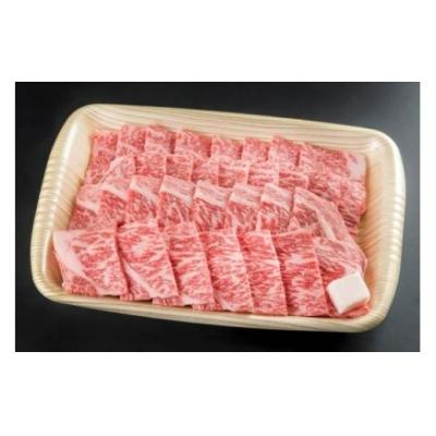 ふるさと納税 七宗町 ※プレミアム(A5等級)飛騨牛焼肉用(650g) HNP-04