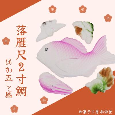 ふるさと納税 七宗町 ※落雁尺2寸鯛ほか五ッ盛 らくがん 和菓子工房 松栄堂